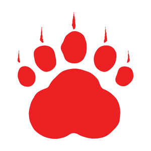 Fundraising Page: Tonya Reed