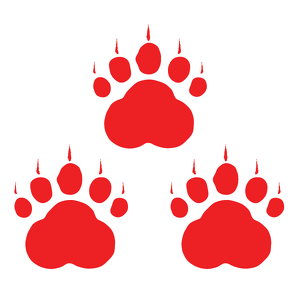 Team Page: Olenick Frosty Divers